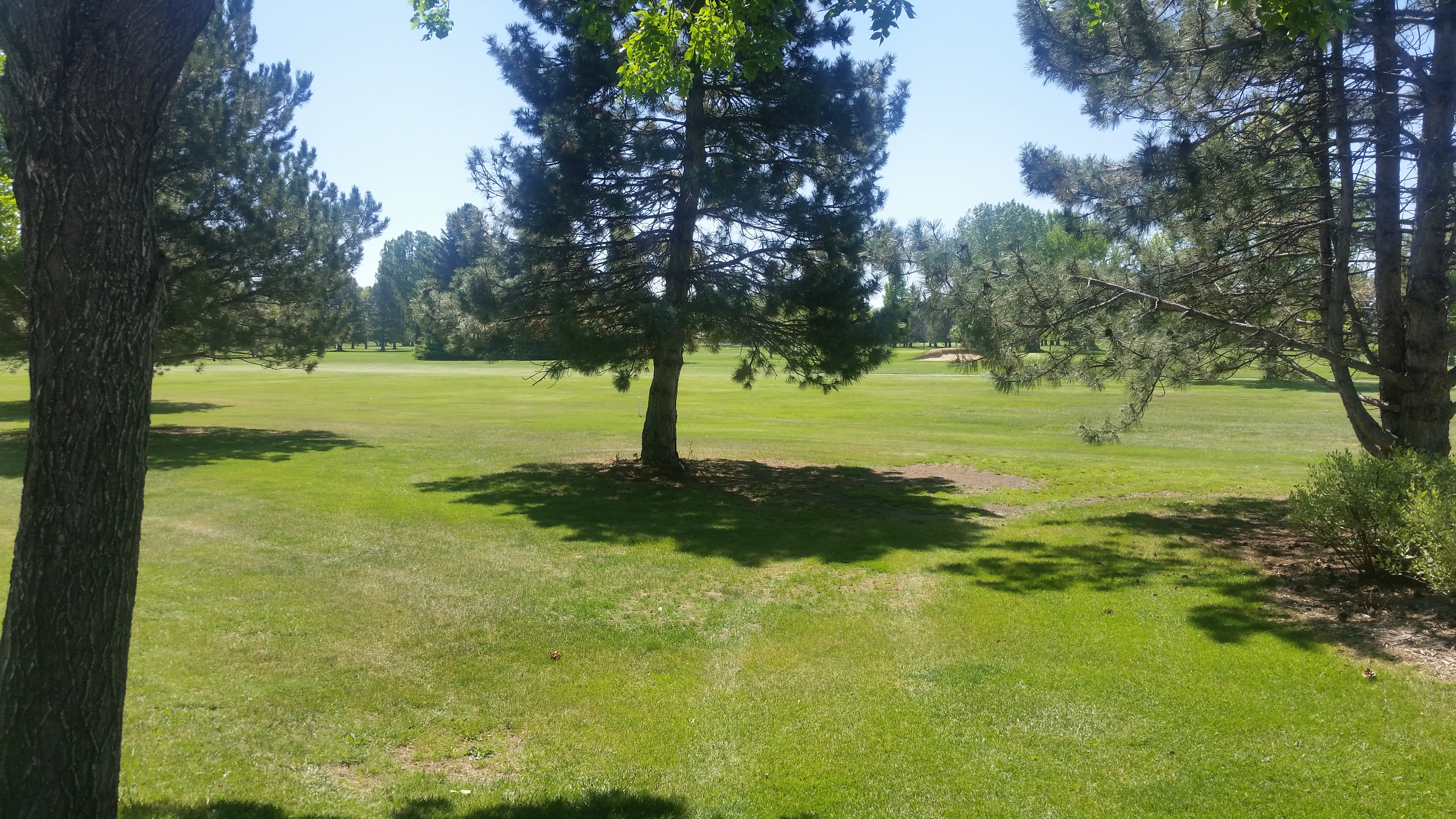 Collindale golf course