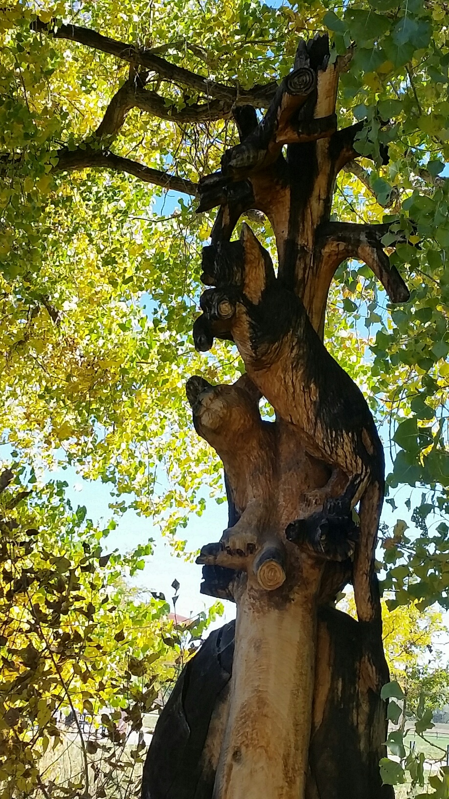 tree carvings